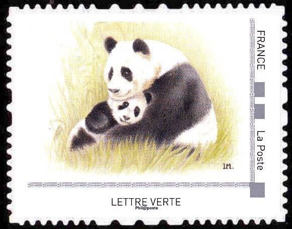 Giant Panda