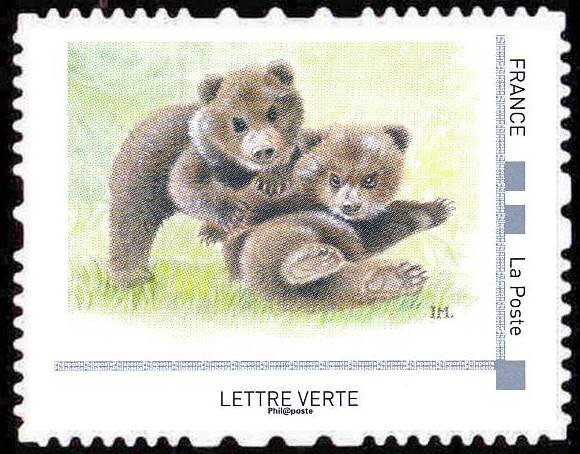 Brown bear