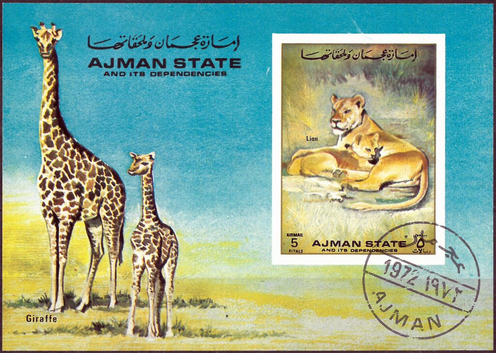 Giraffe and Lion