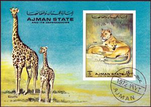Souvenir Sheet, Giraffe and Lion, Ajman,  , Animals (Fauna), Cats of Prey, Giraffes, Лев, Mammals