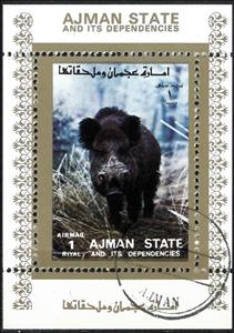 Souvenir Sheet, Wild Boar (Sus scrofa), Cinderellas,  , Animals (Fauna), Mammals