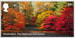 Stamp, Westonbirt (National Arboretum), United Kingdom of Great Britain & Northern Ireland,  , Forests, Landscapes, Trees