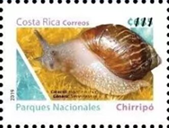 Stamp, Stenostylus, Costa Rica,  , Animals (Fauna), Molluscs, National Parks, Snails and Slugs