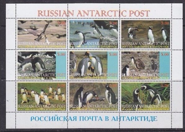 Penguins