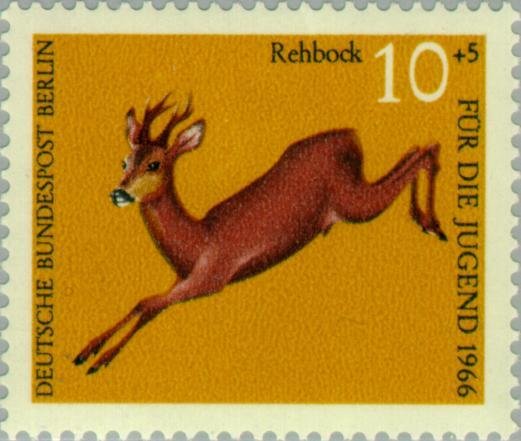 Roebuck (Capreolus capreolus)