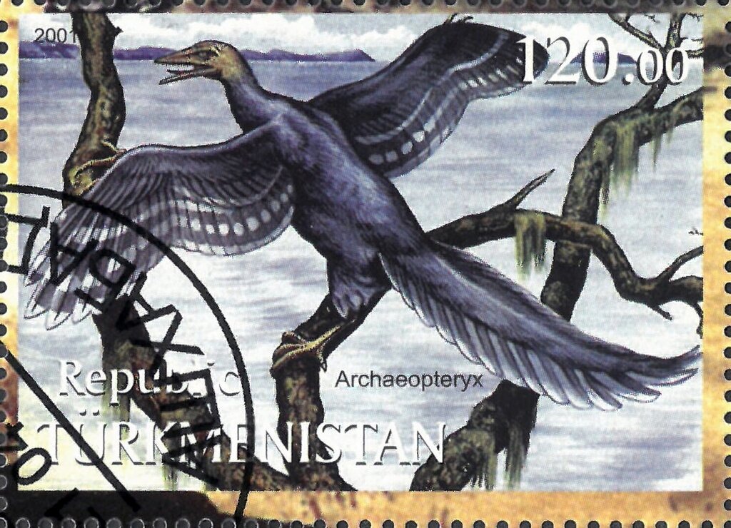 Archaeopteryx