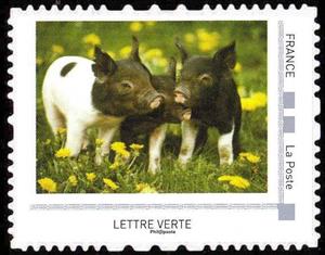 Stamp, Pig, France,  , Animals (Fauna), Mammals, Pigs