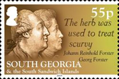 Johaan Reinhold & Georg Forster