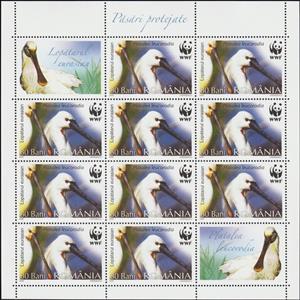 Mini Sheet, Eurasian Spoonbill (Platalea leucorodia) MS, Romania,  , Animals (Fauna), Birds, WWF