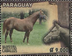 Stamp, Horse Breeds of Paraguay (Equus ferus caballos), Paraguay,  , Animals (Fauna), Horses, Mammals
