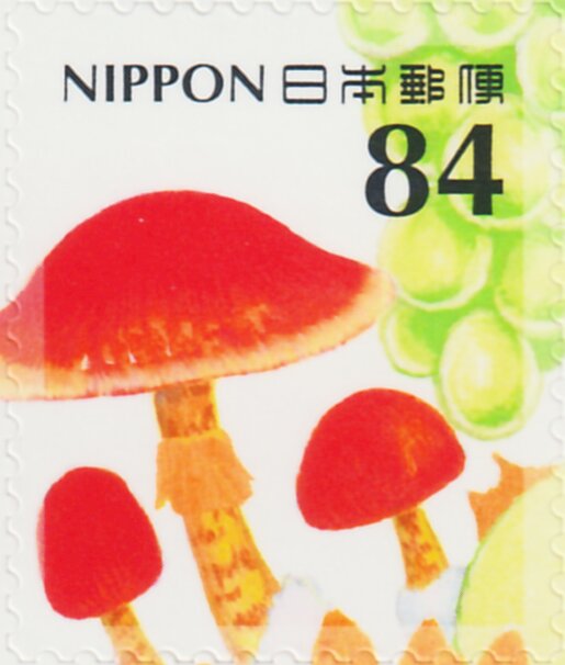 Mushrooms