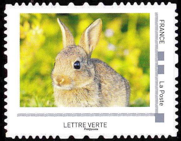 Rabbits
