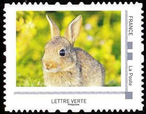Stamp, Rabbits, France,  , Animals (Fauna), Mammals, Rabbits