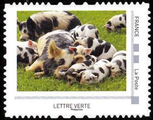 Stamp, Pig, France,  , Animals (Fauna), Mammals, Pigs
