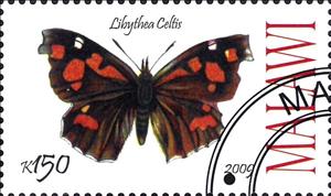 Stamp, Libythea Celtis, Cinderellas,  , Animals (Fauna), Butterflies, Insects