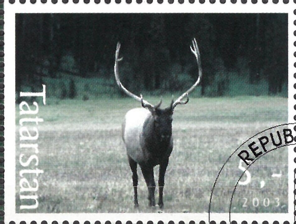 Deer