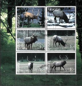 Mini Sheet, Deer, Cinderellas,  , Animals (Fauna), Deer, Mammals