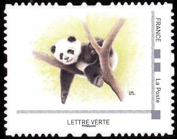 Giant Panda