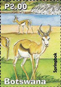 Stamp, Springbok, Botswana,  , Animals (Fauna), Antelopes