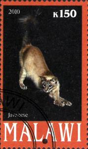 Stamp, Javanese, Cinderellas,  , Animals (Fauna), Cats, Mammals