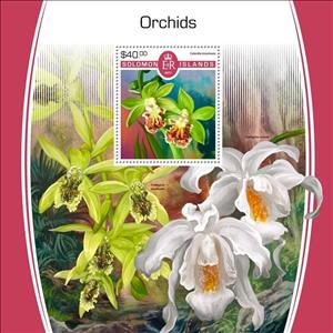 Souvenir Sheet, Orchids, Solomon Islands,  , Flowers, Orchids, Plants (Flora)