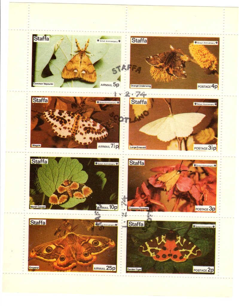 Butterflies