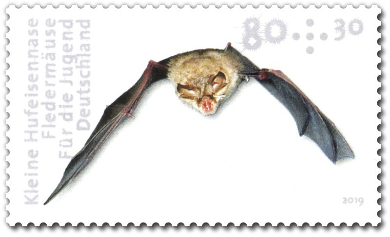 Lesser Horseshoe Bat (Rhinolophus hipposideros)