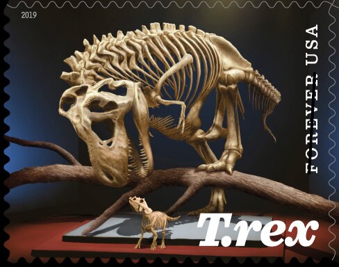 Tyrannosaurus Rex and Triceratops Skeletons