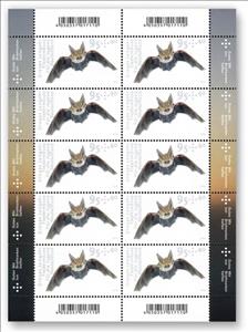 Mini Sheet, Grey Long-Eared Bat (Plecotus austriacus), Germany, Federal Republic,  , Animals (Fauna), Bats, Mammals