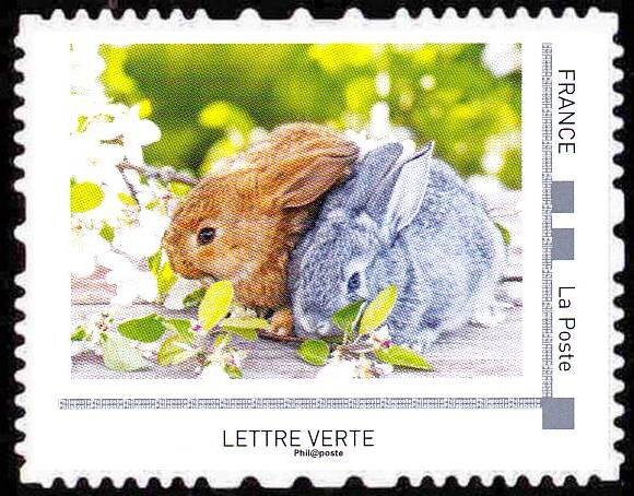 Rabbits
