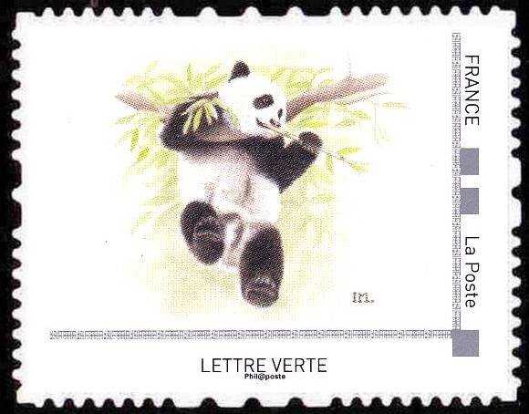 Giant Panda
