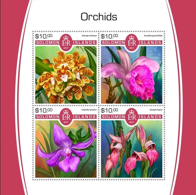 Orchids