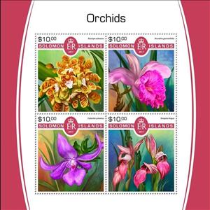Mini Sheet, Orchids, Solomon Islands,  , Flowers, Orchids, Plants (Flora)