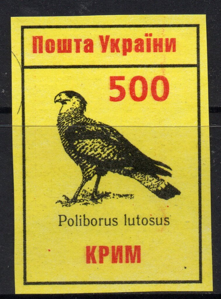 Falcon Poliborus Lutosus