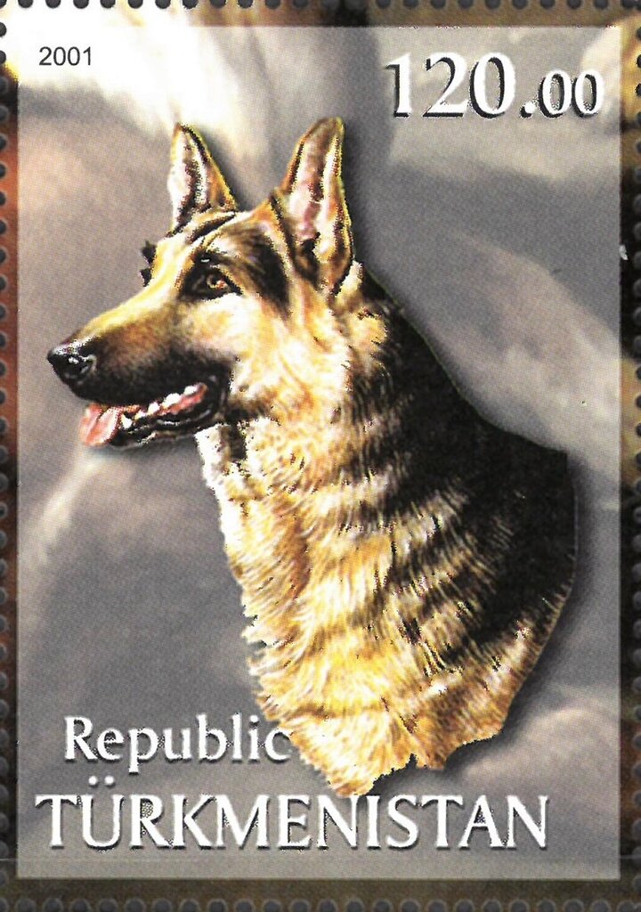 Dog