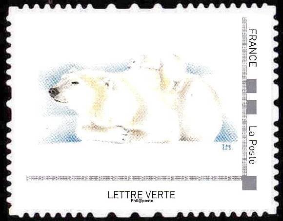 Polar Bear