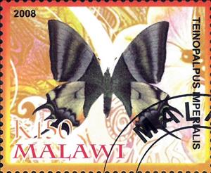 Stamp, Teinopalpus Imperialis, Cinderellas,  , Animals (Fauna), Butterflies, Insects