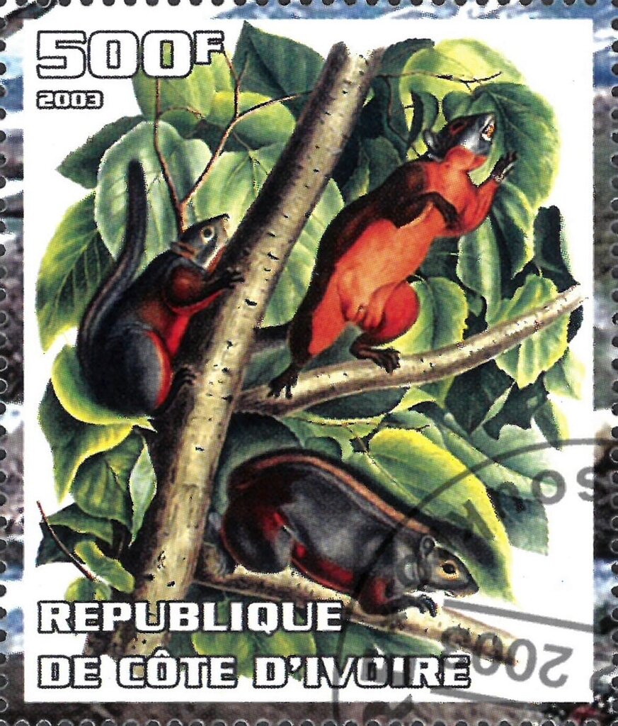 The Nature Conservancy