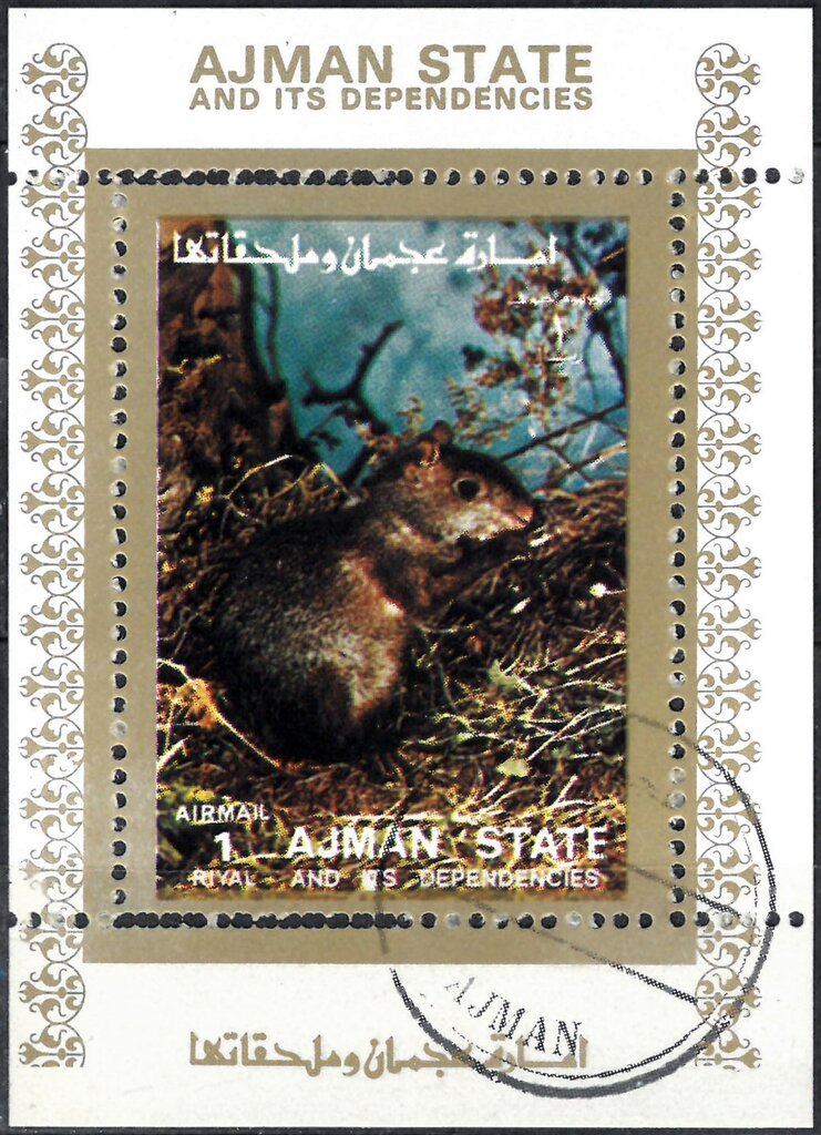 Rodent