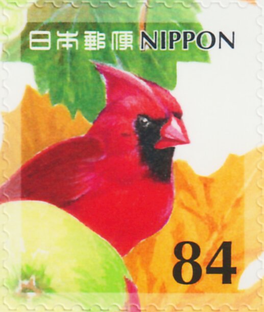 Cardinal and Fruits