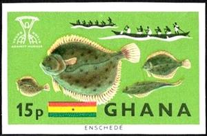 Stamp, Channel Founder (Syacium sp.), Canoes, Flag, Ghana,  , Animals (Fauna), Fishery, Fishes, Flags, Freedom from hunger, Sea Life