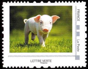 Stamp, Pig, France,  , Animals (Fauna), Mammals, Pigs