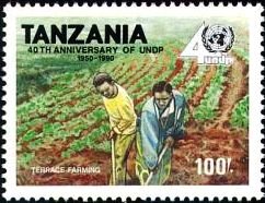 Terrace farming