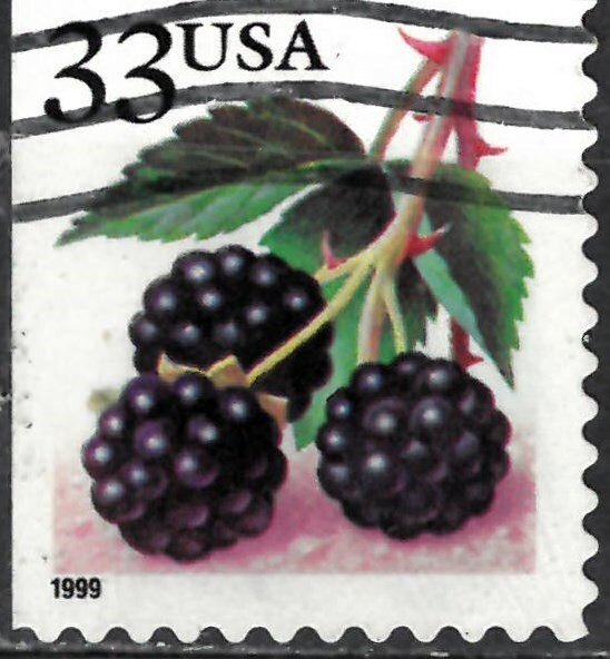 Fruit Berries: Blackberries
