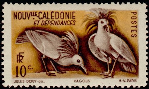 Kagu (Rhynochetos jubatus)