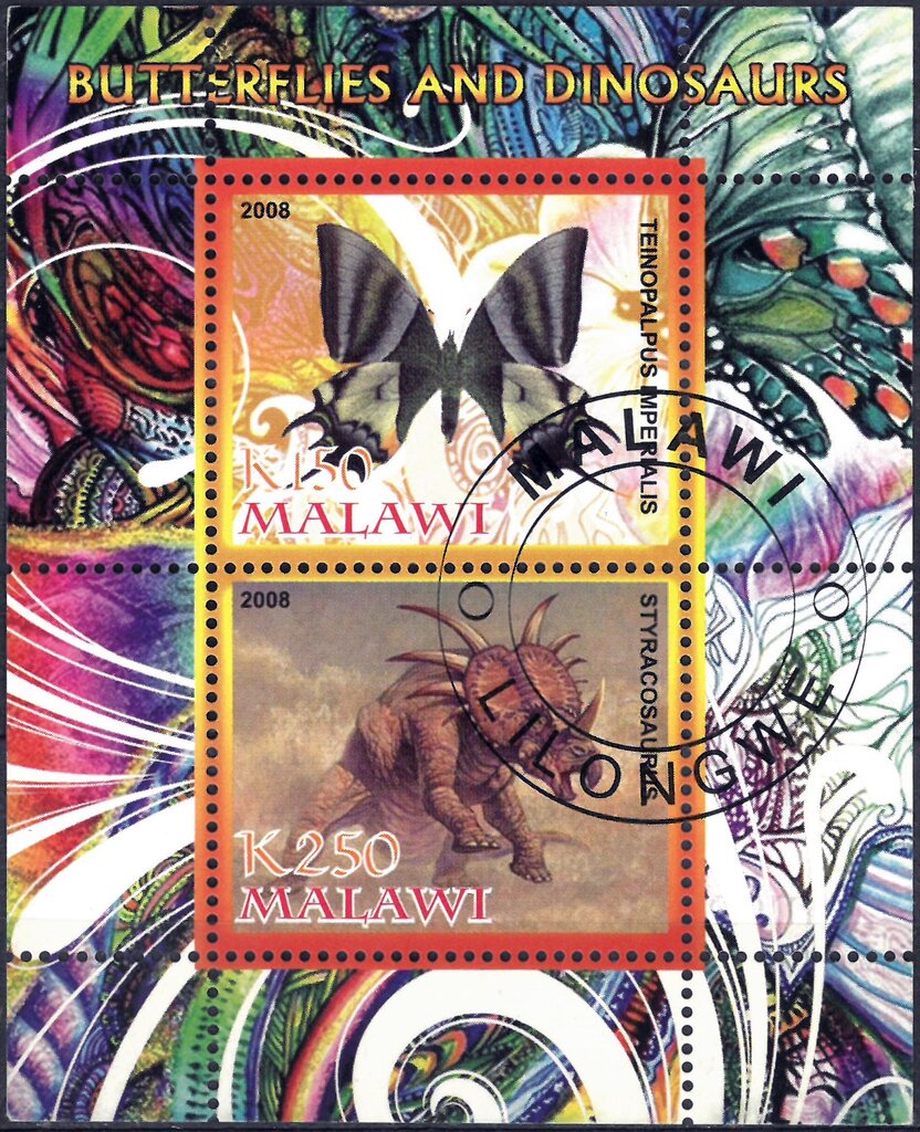 Butterflies and Dinosaurs