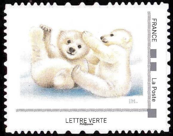 Polar Bear