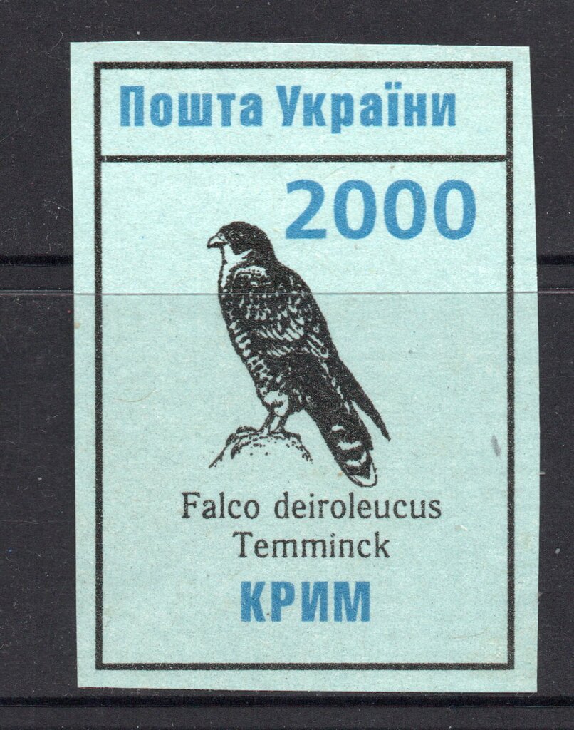 Falcon falco deiroleucus Temmink