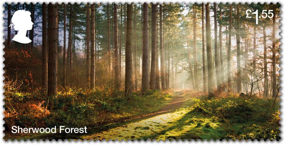 Sherwood Forest