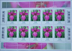 Mini Sheet, Blumen / Wild-Gladiole, Germany, Federal Republic,  , Flowers, Plants (Flora)